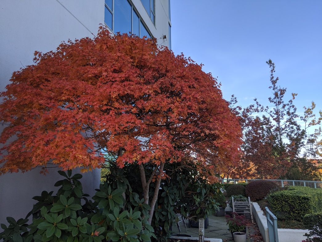 Intentional Growth